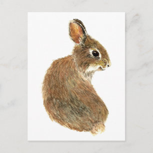 Carte Postale Customisez ce Curious Rabbit, Aquarelle Animal