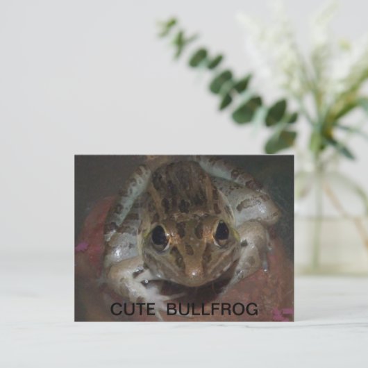 CARTE POSTALE CUT BULLFROG (Debout devant)