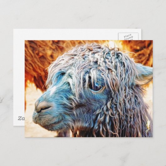 Carte Postale Cute Alpaca bébé en bleu (Devant / Derrière)