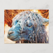 Carte Postale Cute Alpaca bébé en bleu (Devant)