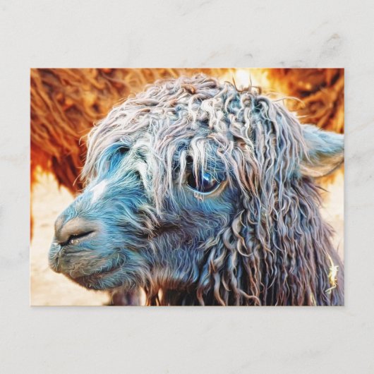 Carte Postale Cute Alpaca bébé en bleu (Devant)