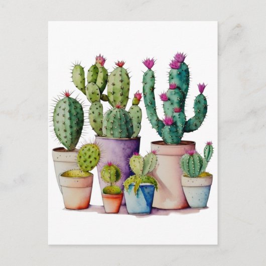 Carte Postale Cute aquarelle cactus succulents dans les pots (Devant)