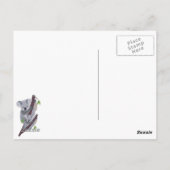 Carte Postale Cute Australian Koala Bear (Dos)