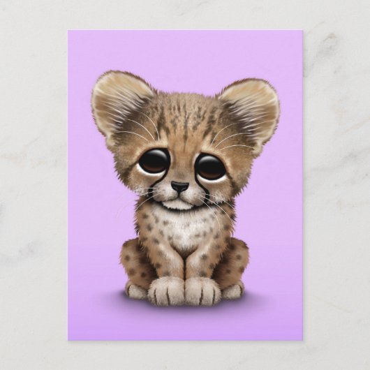 Carte Postale Cute Baby Cheetah Cub sur Purple (Devant)