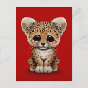 Carte Postale Cute Baby Leopard Cub sur Red