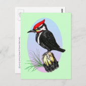 Carte postale Cute Baby Woodpecker (Devant / Derrière)