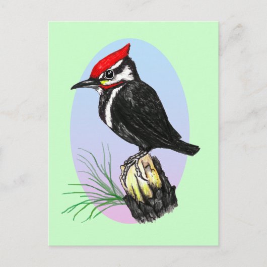 Carte postale Cute Baby Woodpecker (Devant)