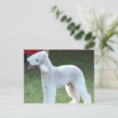 Carte Postale Cute Bedlington Terrier (Debout devant)