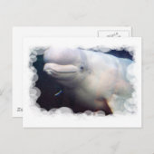 Carte postale Cute Beluga Whale (Devant / Derrière)