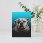 Carte Postale Cute Boxer Dog w Blue Black Gradient arrière - pla (Debout devant)