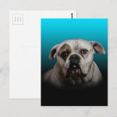 Carte Postale Cute Boxer Dog w Blue Black Gradient arrière - pla (Devant / Derrière)