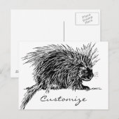 Carte Postale Cute Bristly Hedgehog Thunder_Cove (Devant / Derrière)