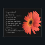 Carte Postale Cute Brother / Sister Anniversaire de naissance de<br><div class="desc">Pour le monde extérieur, nous vieillissons tous. Mais pas pour les frères et sœurs. Nous nous connaissons comme nous avons toujours été. Nous connaissons le cœur l'un de l'autre. Nous partageons des blagues de famille privées. Nous nous souvenons des querelles familiales et des secrets, des chagrins et des joies de...</div>