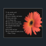 Carte Postale Cute Brother / Sœur jolie Anniversaire de frères e<br><div class="desc">Pour le monde extérieur, nous vieillissons tous. Mais pas pour les frères et sœurs. Nous nous connaissons comme nous avons toujours été. Nous connaissons le cœur l'un de l'autre. Nous partageons des blagues de famille privées. Nous nous souvenons des querelles familiales et des secrets, des chagrins et des joies de...</div>