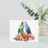 Carte Postale Cute Budgie Design (Debout devant)