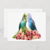Carte Postale Cute Budgie Design (Devant / Derrière)