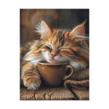 Cute Calico Café Matin