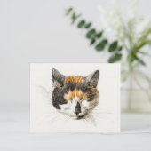 Carte Postale Cute Calico Chat (Debout devant)