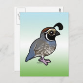 Carte Postale Cute California Quail (Devant / Derrière)