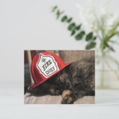 Carte postale Cute Cat - chef incendie (Debout devant)