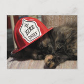 Carte postale Cute Cat - chef incendie (Devant)