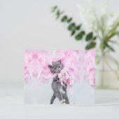 Carte Postale Cute Cat rose plume (Debout devant)
