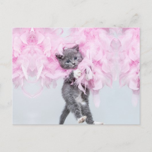 Carte Postale Cute Cat rose plume (Devant)