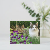 Carte Postale Cute Cats en Jardin Fleur / Collage Art (Debout devant)