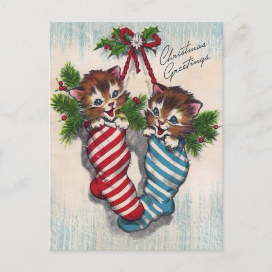 Carte Postale Cute Cats in Crhistmas Socks (Devant)