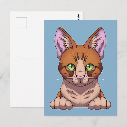 Carte Postale Cute chat (Devant / Derrière)