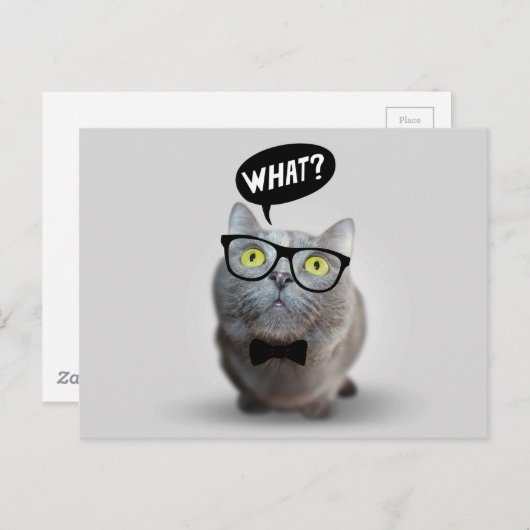 Carte Postale Cute Chat chaton avec lunettes ce devis imprimer (Devant / Derrière)