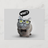 Carte Postale Cute Chat chaton avec lunettes ce devis imprimer (Devant)