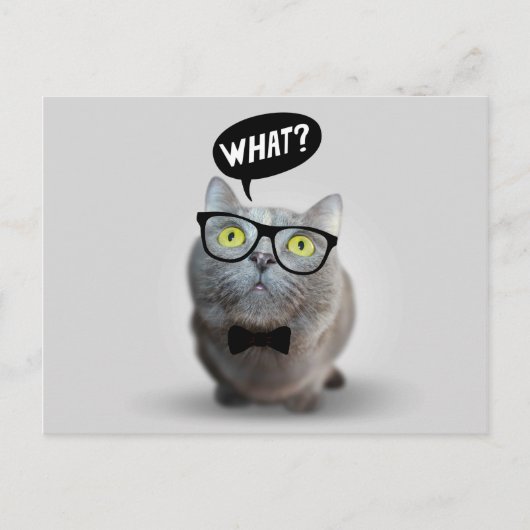 Carte Postale Cute Chat chaton avec lunettes ce devis imprimer (Devant)