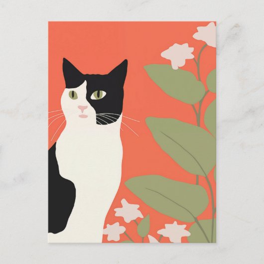 Carte Postale Cute chat noir et blanc (Devant)