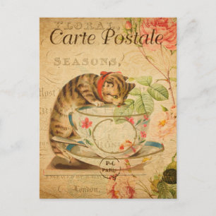 Carte Postale Cute Chat vintage Boire de la Coupe de Thé et Souc