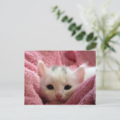 Carte Postale Cute chaton blanc dormant dans une couverture rose (Debout devant)