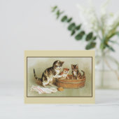 Carte Postale Cute chatons de bain de chat victorien chatons dan (Debout devant)