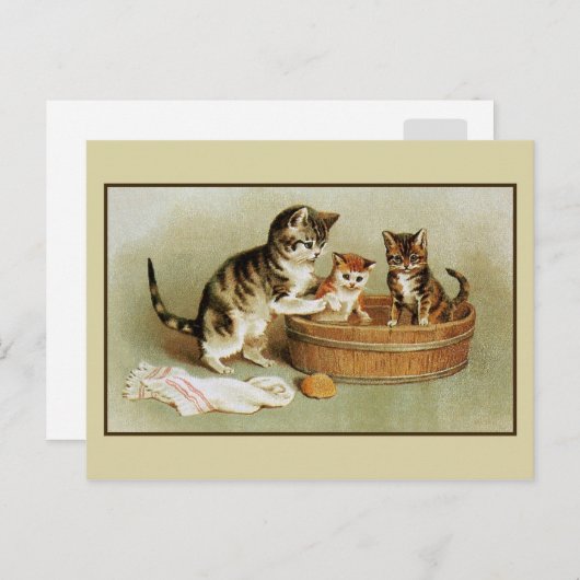 Carte Postale Cute chatons de bain de chat victorien chatons dan (Devant / Derrière)