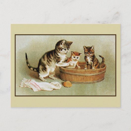 Carte Postale Cute chatons de bain de chat victorien chatons dan (Devant)