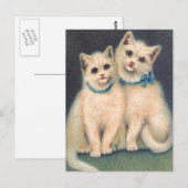 Carte Postale Cute chatte blanche (Devant / Derrière)