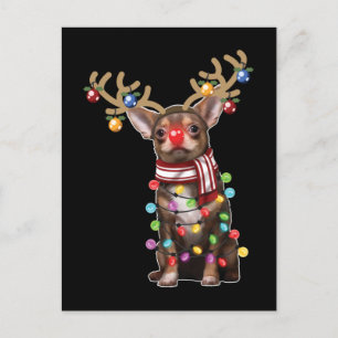 Carte Postale Cute Chihuahua Chien Drôle cadeaux de Noël