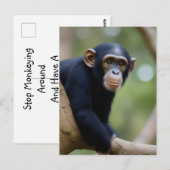 Carte postale Cute Chimp (Devant / Derrière)