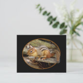 Carte postale Cute Chipmunk (Debout devant)