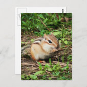 Carte Postale Cute Chipmunk (Devant / Derrière)