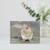 Carte Postale Cute Chipmunk avec Bug Friend (Debout devant)