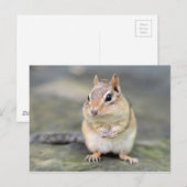 Carte Postale Cute Chipmunk avec Bug Friend (Devant / Derrière)