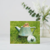 Carte Postale Cute Chipmunk en Teapot (Debout devant)