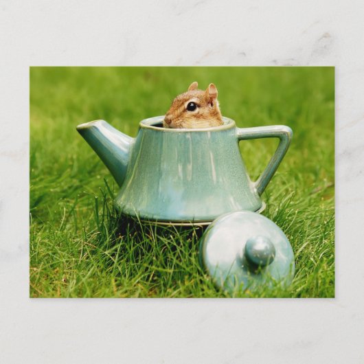 Carte Postale Cute Chipmunk en Teapot (Devant)