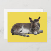 Carte Postale Cute chocolate donkey baby foal sleeping on yellow (Devant / Derrière)