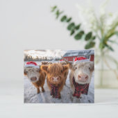 Carte Postale Cute Christmas Highland Cows in Snow (Debout devant)